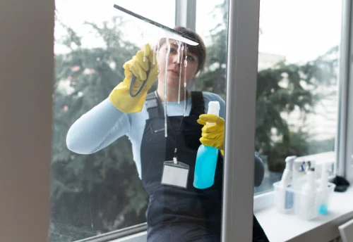 Nettoyage de vitres intérieures et extérieures à Billième